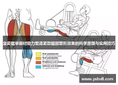 坐姿腿举器材助力塑造紧致腿部塑形效果的科学原理与实用技巧