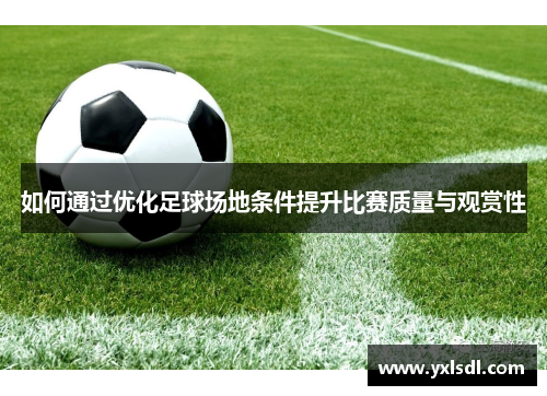 如何通过优化足球场地条件提升比赛质量与观赏性