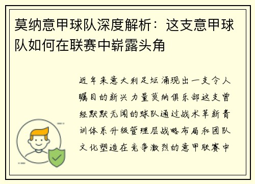 莫纳意甲球队深度解析：这支意甲球队如何在联赛中崭露头角